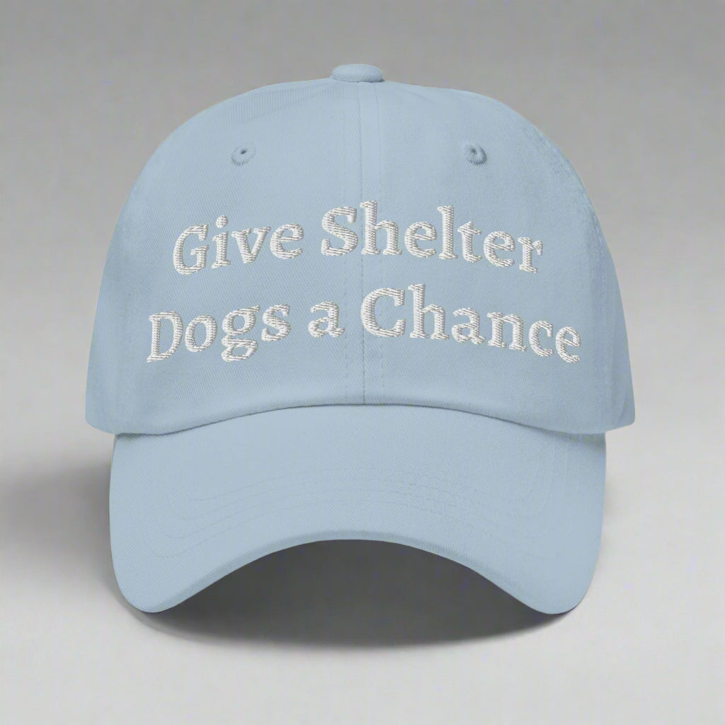 give shelter dogs a chance light blue cap