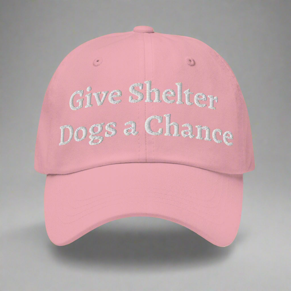 give shelter dogs a chance pink cap