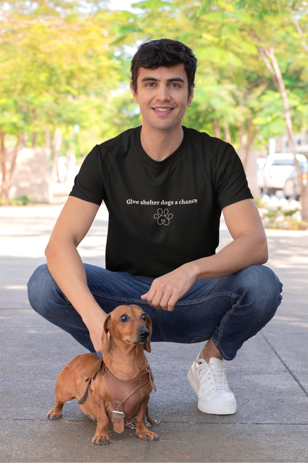 Give Shelter Dogs a Chance