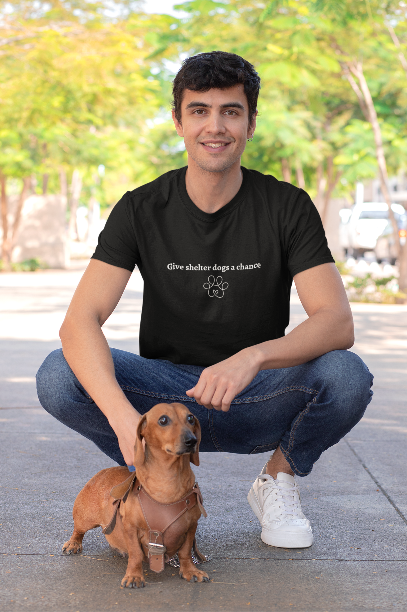 Give Shelter Dogs a Chance